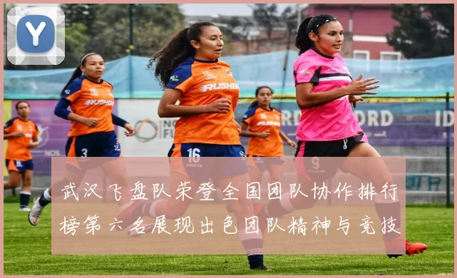 武汉飞盘队荣登全国团队协作排行榜第六名展现出色团队精神与竞技实力