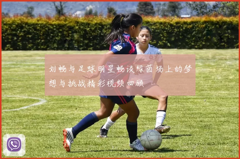 刘畅与足球明星畅谈绿茵场上的梦想与挑战精彩视频回顾