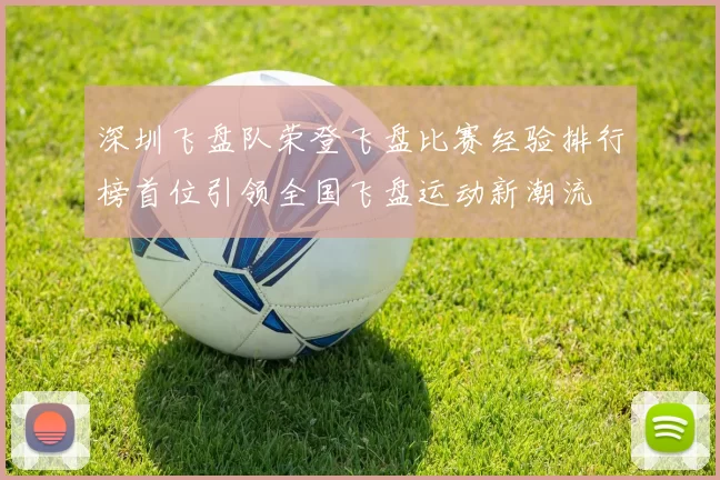 深圳飞盘队荣登飞盘比赛经验排行榜首位引领全国飞盘运动新潮流