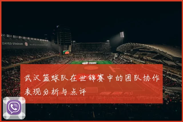 武汉篮球队在世锦赛中的团队协作表现分析与点评