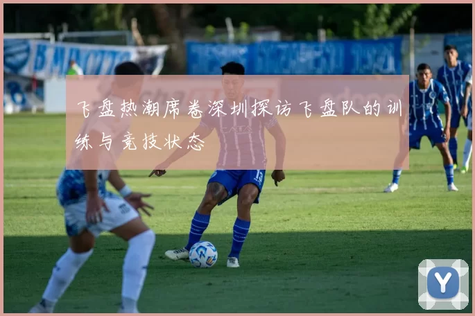飞盘热潮席卷深圳探访飞盘队的训练与竞技状态
