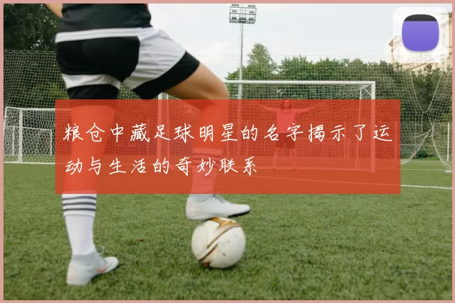 粮仓中藏足球明星的名字揭示了运动与生活的奇妙联系