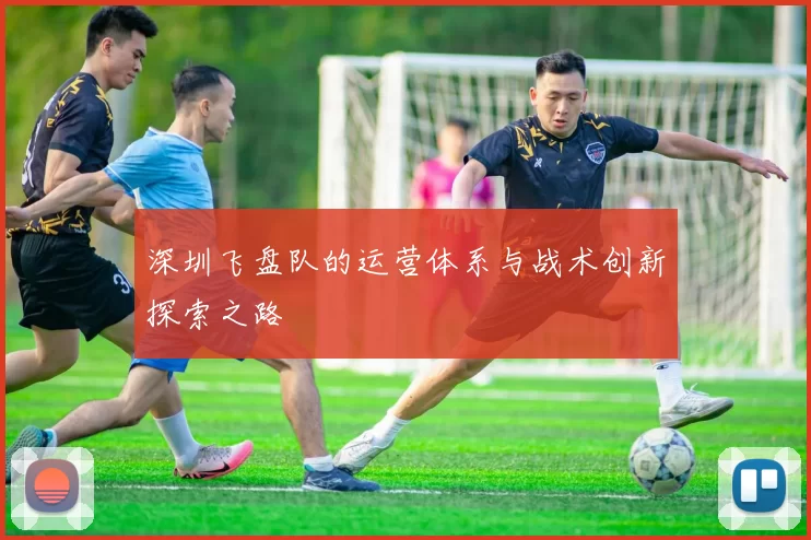 深圳飞盘队的运营体系与战术创新探索之路
