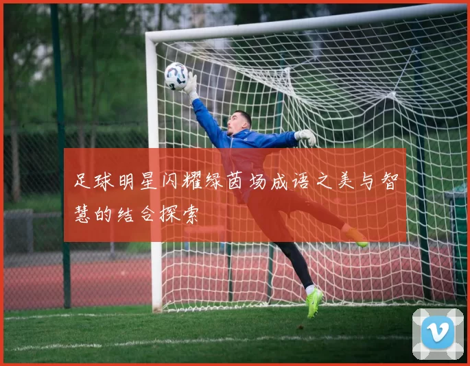 足球明星闪耀绿茵场成语之美与智慧的结合探索