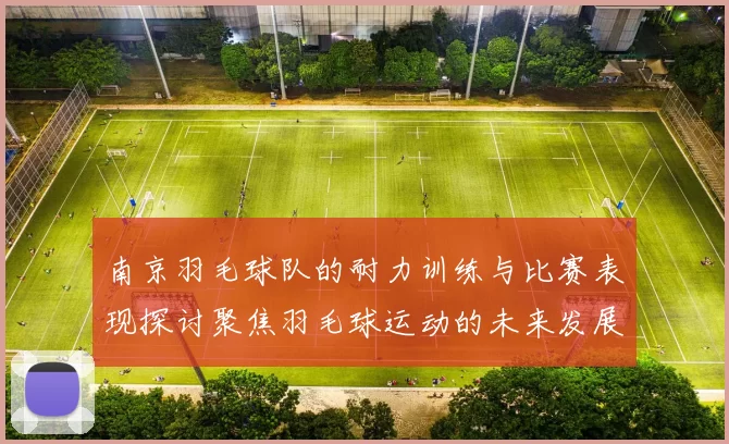 南京羽毛球队的耐力训练与比赛表现探讨聚焦羽毛球运动的未来发展