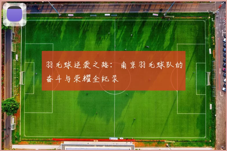 羽毛球逆袭之路：南京羽毛球队的奋斗与荣耀全纪录