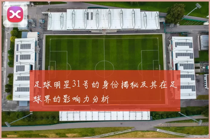 足球明星31号的身份揭秘及其在足球界的影响力分析