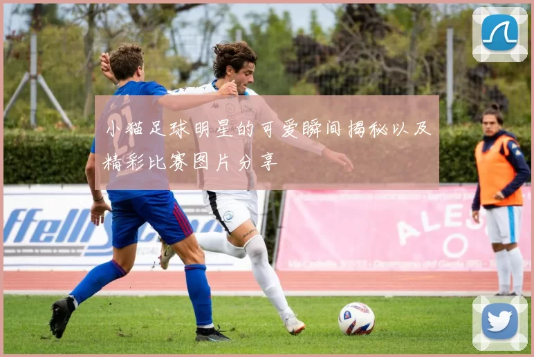 小猫足球明星的可爱瞬间揭秘以及精彩比赛图片分享