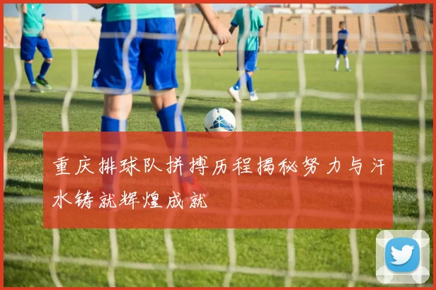 重庆排球队拼搏历程揭秘努力与汗水铸就辉煌成就
