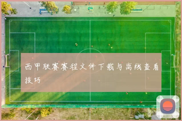 西甲联赛赛程文件下载与离线查看技巧
