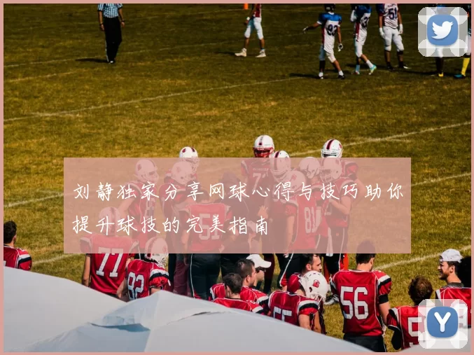 刘静独家分享网球心得与技巧助你提升球技的完美指南