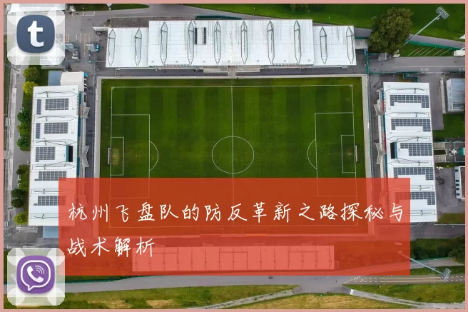 杭州飞盘队的防反革新之路探秘与战术解析
