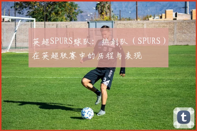 英超SPURS球队：热刺队（SPURS）在英超联赛中的历程与表现