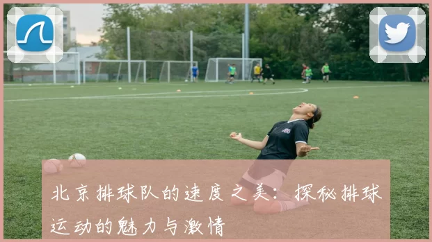 北京排球队的速度之美：探秘排球运动的魅力与激情