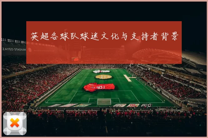 英超各球队球迷文化与支持者背景