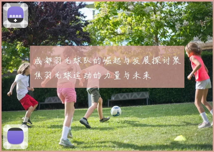 成都羽毛球队的崛起与发展探讨聚焦羽毛球运动的力量与未来