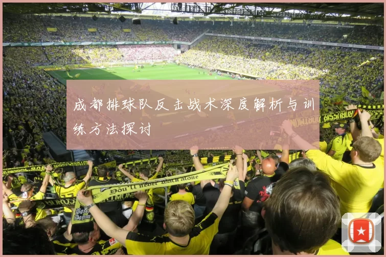 成都排球队反击战术深度解析与训练方法探讨