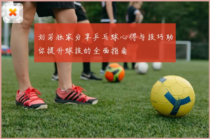 刘芳独家分享乒乓球心得与技巧助你提升球技的全面指南