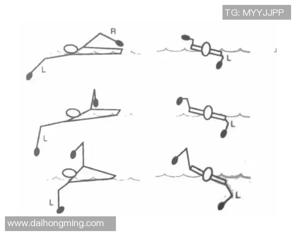 自由泳技术全面解析：从入水到出水的每个细节与技巧优化