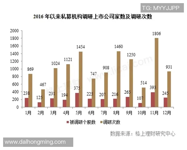 南京极限运动队整体压制现象分析及其对运动发展的影响探讨