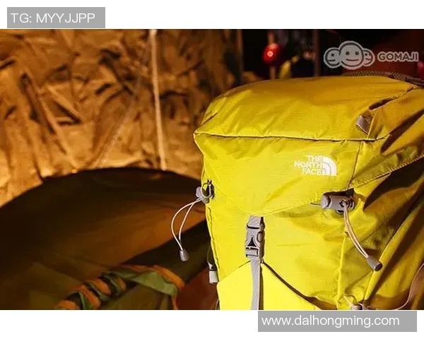 武汉极限运动队技术表现分析与数据解读探讨