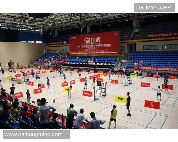 深圳羽毛球队在杯赛中的技术表现分析与总结 深圳羽毛球队在杯赛中的技术表现分析与总结