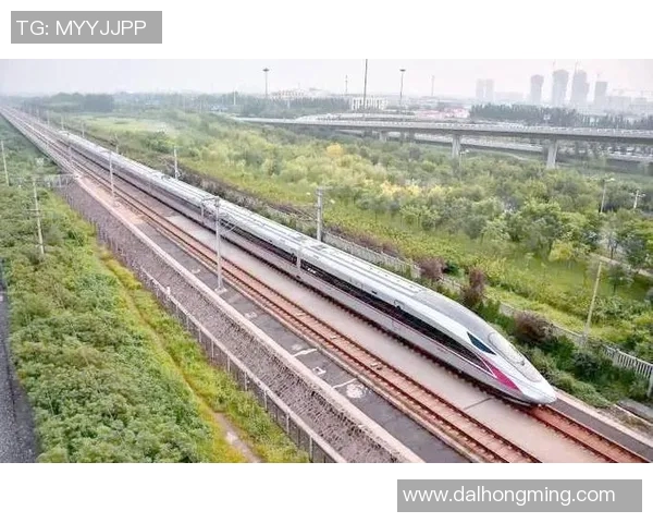 杭州飞盘队反击战分析胜负得失与未来展望